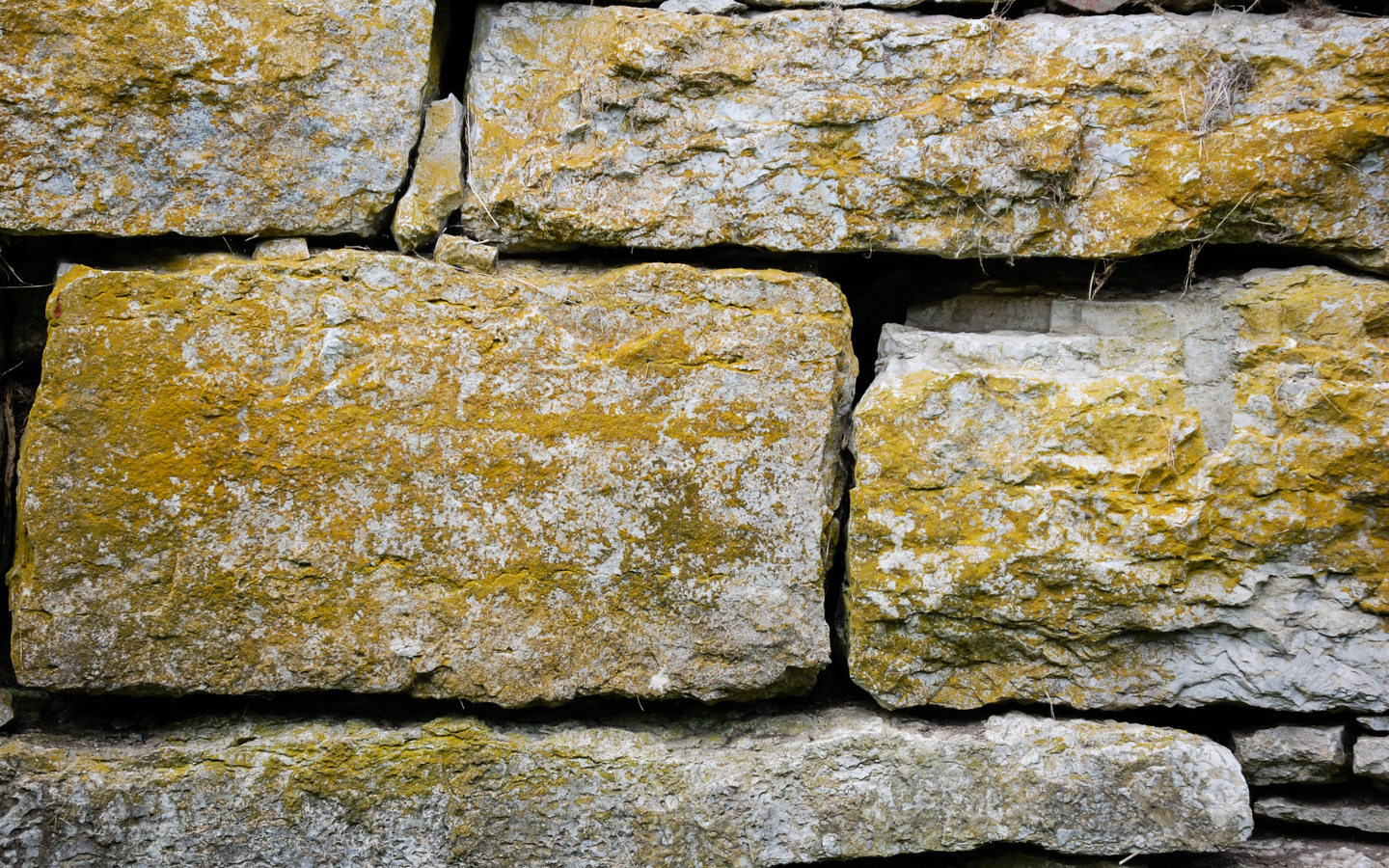 Strengthening Chrome: Why CIS Benchmarks Matter