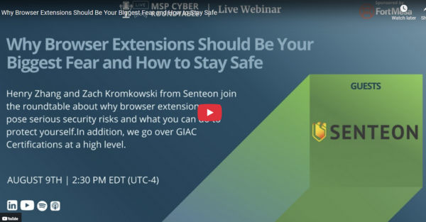 Why Browser Extensions Should Be Your Biggest Fear and How to Stay Safe